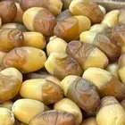 رطب تمر سلج طازج للبيع