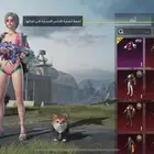 حساب ببجي رخيص مع اسلحة كل مسج