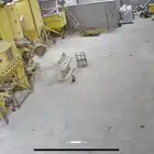 مصنع أعلاف للبيع