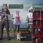 حساب ببجي