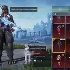 حساب ببجي للبيع