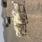 ثنتين مولد علا واحد وربع مضاريع