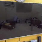 شاشة تليزون