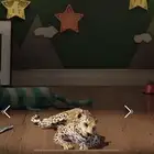 حساب ببجي لفل 70