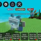 حيوانات قرو قاردن راكون