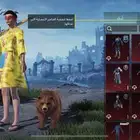 حساب ببجي للبيع ولايجي إلا الصامل واوريه مقطع للحساب كامل