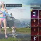 حساب ببجي للبيع