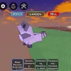 ميقا راكون