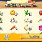 هاي داي