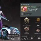 حساب ببجي نادره