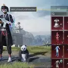 حساب ببجي للبيع