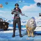 حساب ببجي للبيع