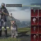 حساب ببجي للبيع او البدل