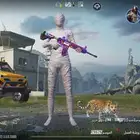 حساب ببجي للبيع