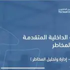 مشاريع المراجعة الداخلية المتقدمة