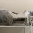 قشرة طبلون اكورد
