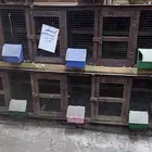 محاكر العدد 2