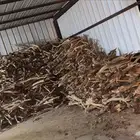 حطب سمر افريقي