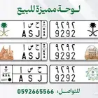 لوحه مميزة للبيع