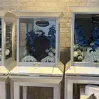 ستاندات ملكه للبيع