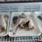 ديك بلدي