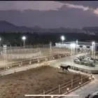 مزرعة واسطبل للبيع الموقع المدينة المندسة