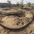 لي بير 3 بوصه