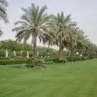 تيل طبيعي
