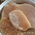 عسل سدر عسل سمرة عسل طلح عسل فاخر