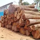 للبيع اخشاب مثل التي بالصورة