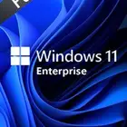 windows 10 11Enterprise