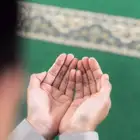 خدمات مدرسين وترجمة