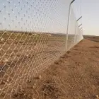 نقوم بتوريد وتركيب الشبوك وتوريد نخيل