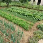 للتنسيق الحدائق والاسترحات والفلل ولاحدث انواع شبكات الرى