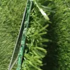 ثيل صناعي وعشب جداري