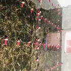مقاول ترميم منازل سيراميك لياسه دهانات
