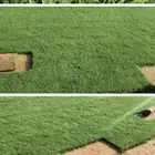 انجيله C2000 درجه امريكي