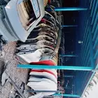 جيلي جميع المديلات 2023 2022 2024