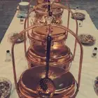 سخانات وعروض الخريجين