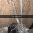 عفريتة جمس 78 و عفريتة جمس93