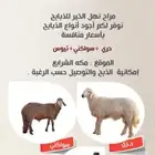 للبيع ذبايح  سواكني - حري   يوجد ذبح وتوصيل