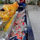 مطعم الخير يقدم خروف سيخ على الجمر 1 خروف مشوي   2   دجاج مش