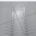 طارد للحمام بأنواعه