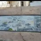 رسام قط عسيري مناظر طبيعية جرافية