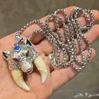 ناب الذيب بصياغة وجه الذيب