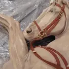تلوين المجسمات