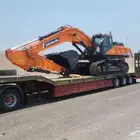 لوبد متواجد في ضباه شرما البدع علا جميع الاتجاهات
