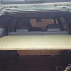 طبق باثفندر