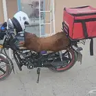 دباب قوة 200