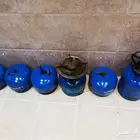 مجموعة دوافير مختلفة العدد سته